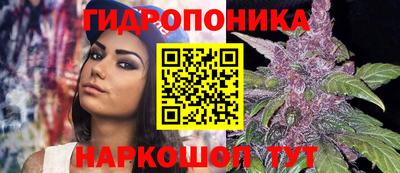 ПСИЛОЦИБИНОВЫЕ ГРИБЫ Кинель