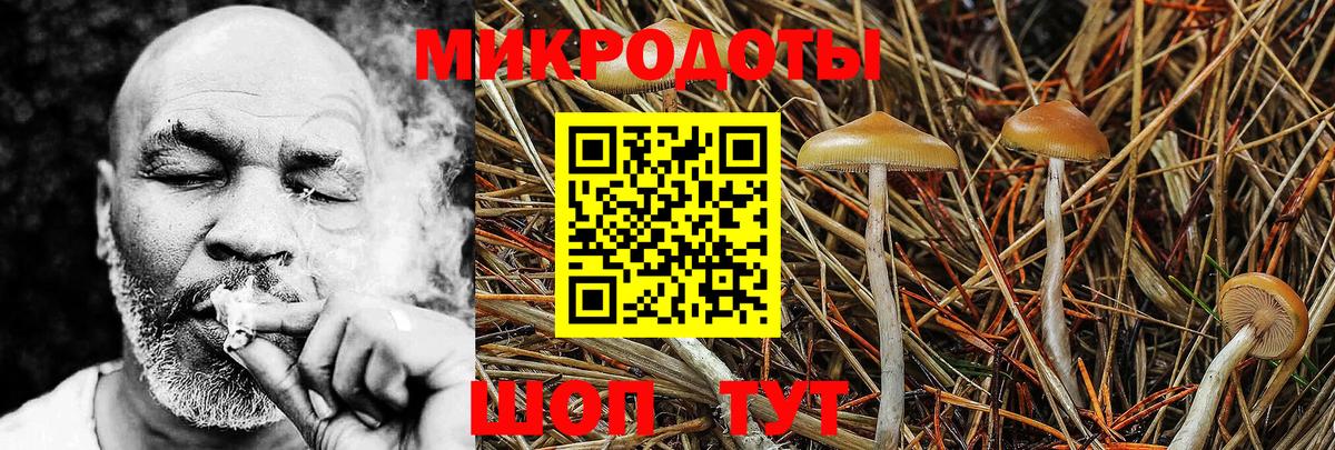 Псилоцибиновые грибы Cubensis Алапаевск